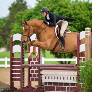 Meet your Posher, Madeleine